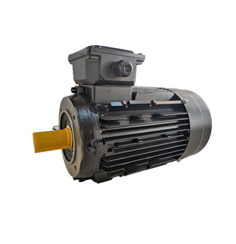 Multi-Stage Pump Motor