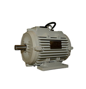 Convertor-Fed Fan Motor for Animal Husbandry